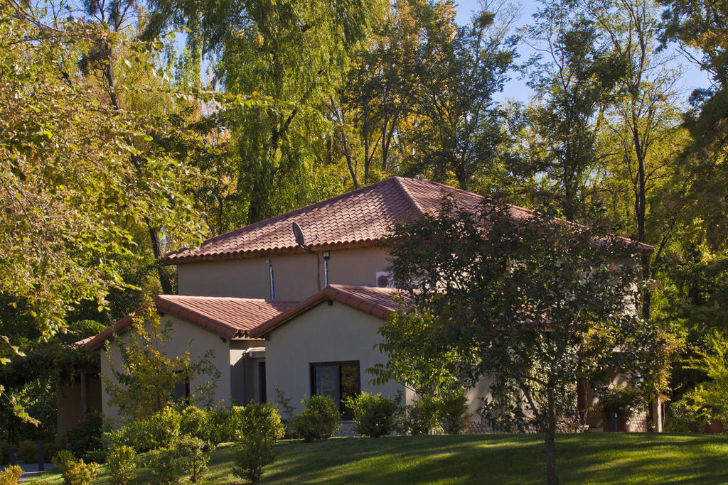 Posada Salentein Los Arboles Phòng bức ảnh