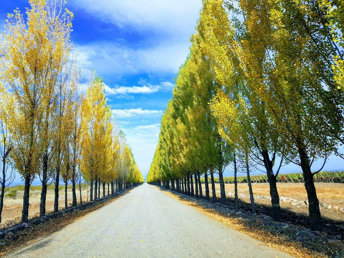 Posada Salentein Los Arboles Ngoại thất bức ảnh